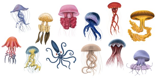 一套不同的黄色，蓝色和红色水母孤立在白色的背景。Stickerpack。手绘图片下载