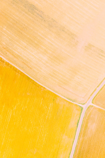 种植着不同作物的五彩斑斓的农田。鸟瞰图。农业春季开始。乡郊及乡郊景观图片下载