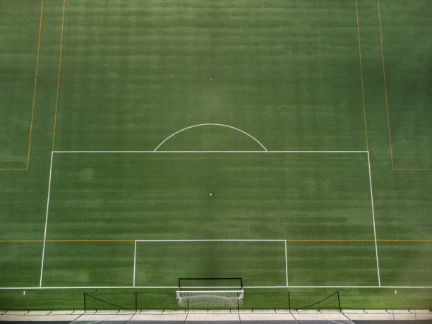 人造草地足球场，从天上看。图片下载