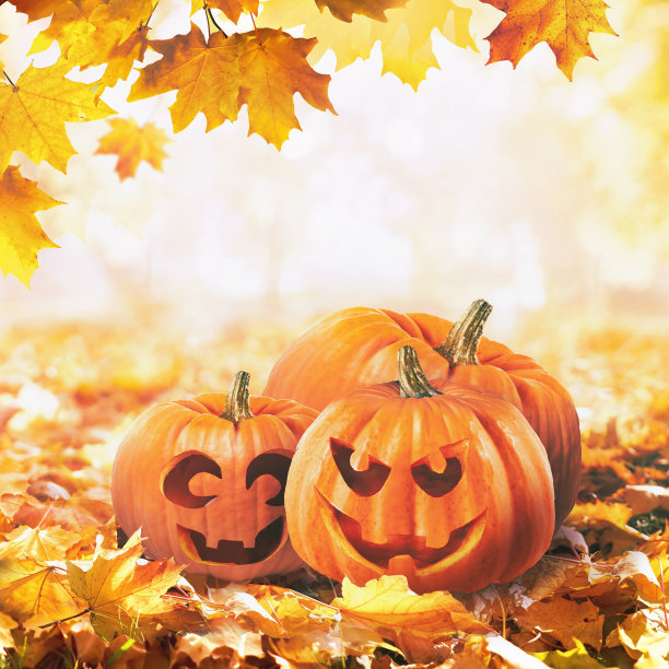 秋季作文的三个南瓜万圣节有趣的脸和微笑。图片下载