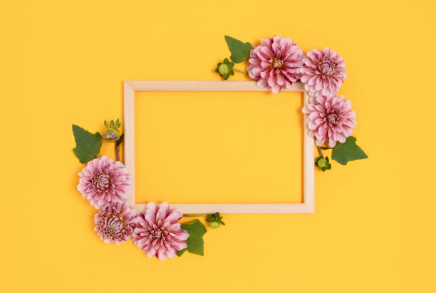 黄色背景上的大丽花边框。图片下载