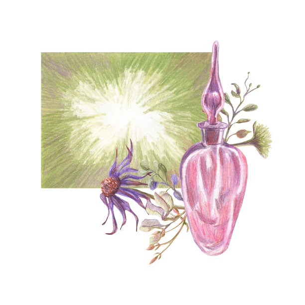 用玻璃小瓶、花枝和抽象的暖绿色背景，用彩色铅笔的手法制作光线。手绘。图片下载