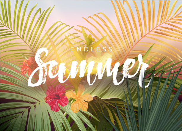 夏季热带设计的旗帜或传单图片下载