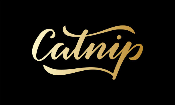 猫薄荷金色孤立字黑色背景图片下载
