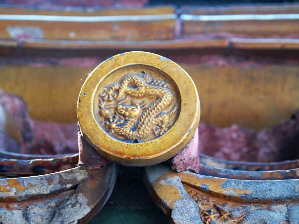 黄金巨龙图片下载