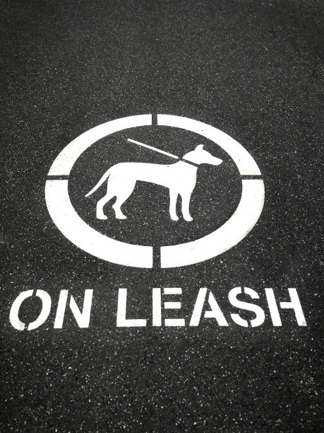 在澳大利亚这一地区，白色警告标志为狗主人用皮带拴狗。图片下载