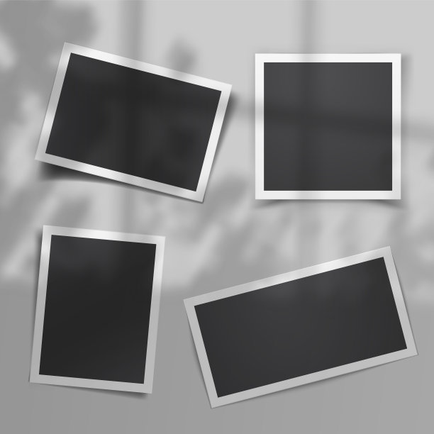 现实的复古照片模板向量集，阴影覆盖从窗口和窗外的植物图片下载