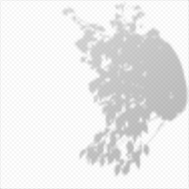 现实的向量透明覆盖模糊的阴影的枝叶。图片下载