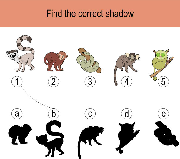 找到正确的猴子阴影拼图图片下载