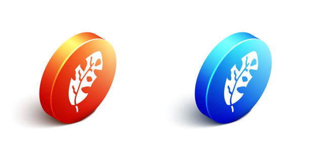 等距热带树叶棕榈树图标图片下载