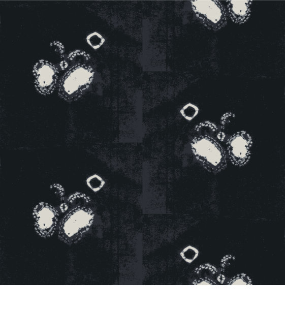 蝴蝶在日本志堀技术图片下载