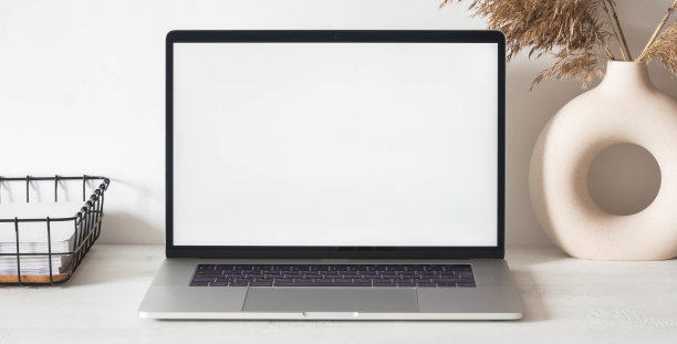 带开放式笔记本电脑的家庭办公书桌，储物篮，花瓶里的干花图片下载