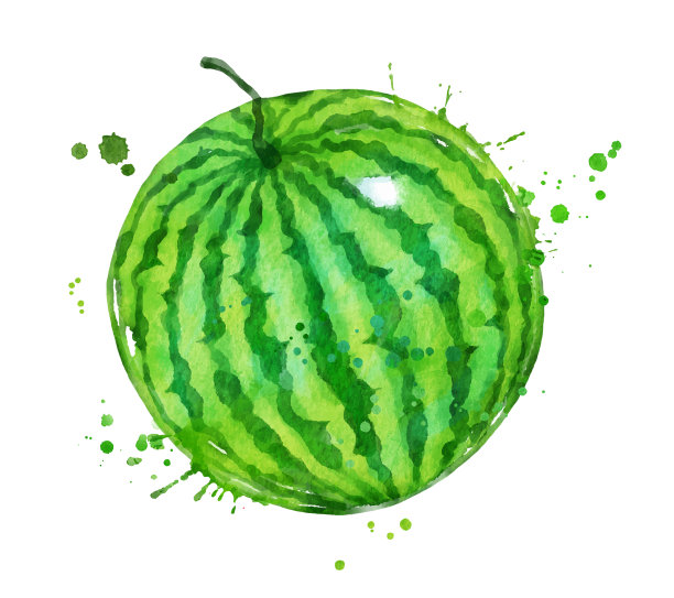 水彩西瓜图片下载