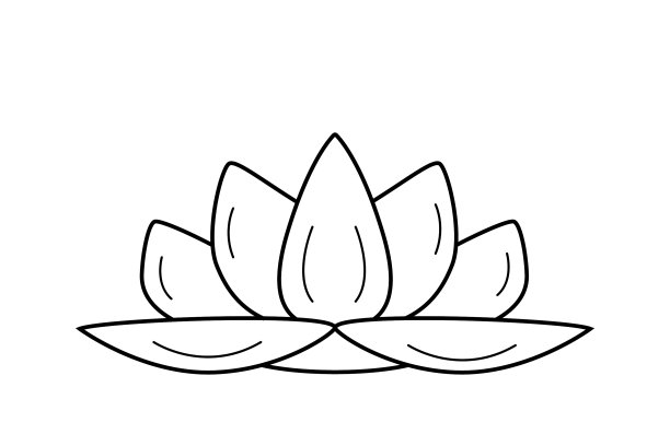 荷花，荷花，莲花图片下载