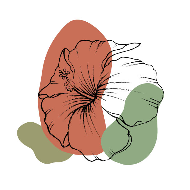 芙蓉花图片下载