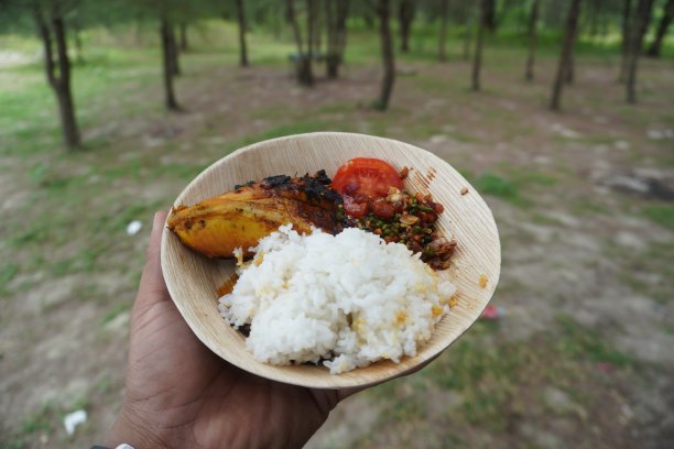 绿色环保盘子上的烤鸡照片图片下载