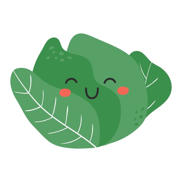 可爱有趣的卡通卷心菜图片下载