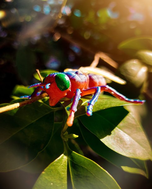 宏玩具蚂蚁图片下载