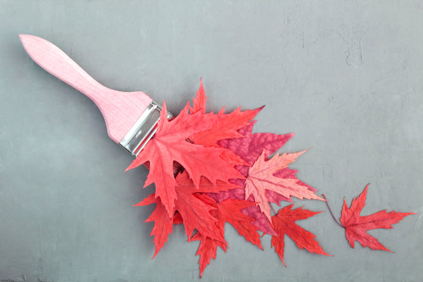 用画笔在灰色的混凝土背景上画上红色的干叶子图片下载