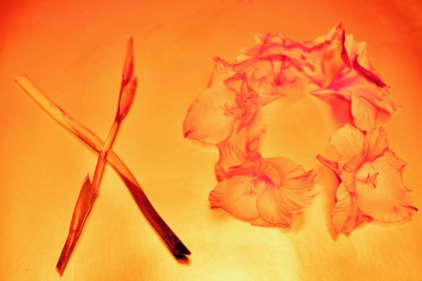 笔记本图片下载