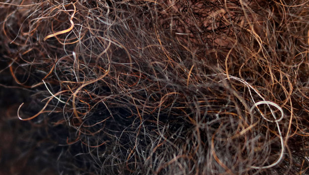 特写从胡子中的深色头发-脸部杂乱的纹理黑色，棕色和红色粗糙的头发图片下载