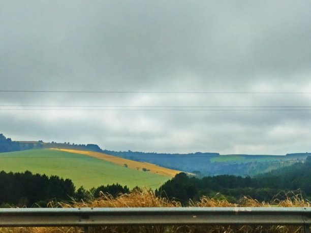 道路景观图片下载