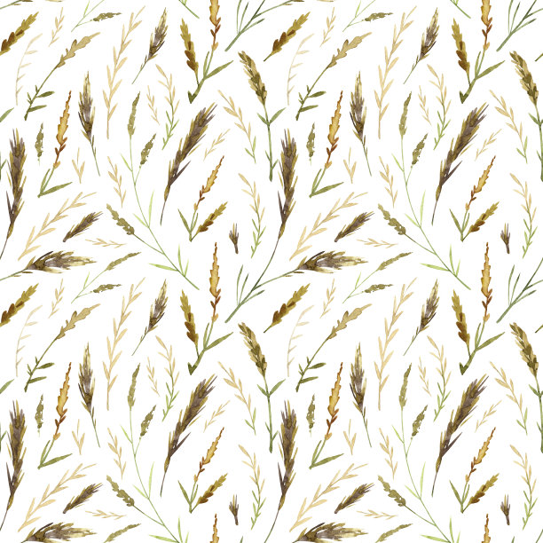 方形无缝图案与枯萎的植物。手绘水彩植物标本室和分开的树枝在白色的背景。图片下载