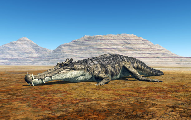 史前鳄鱼卡普罗苏克斯图片下载