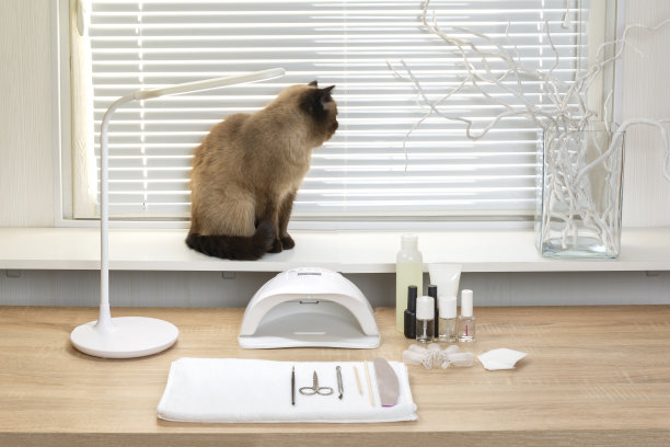 空荡荡的现代钉车间内部。美甲大师的工作场所图片下载