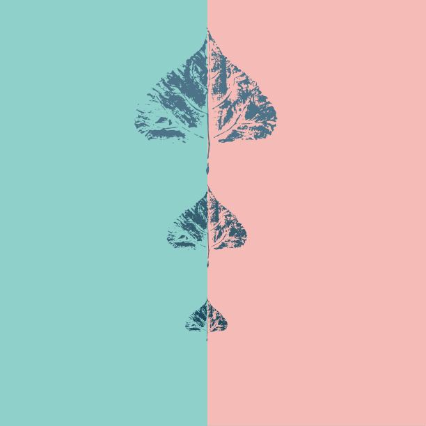 几何图案与叶印时尚粉色和水蓝，关于自然保护的概念形象，叶印相交直图片下载