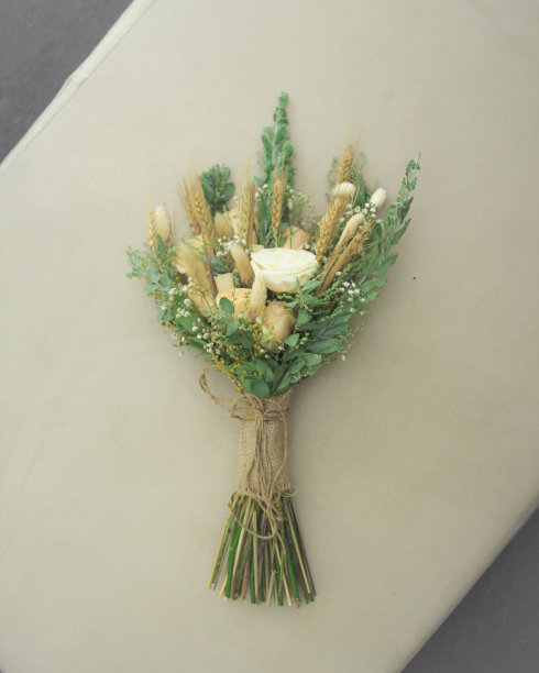 气味自然图片下载