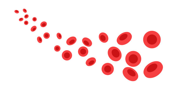 血管中的红细胞图片下载