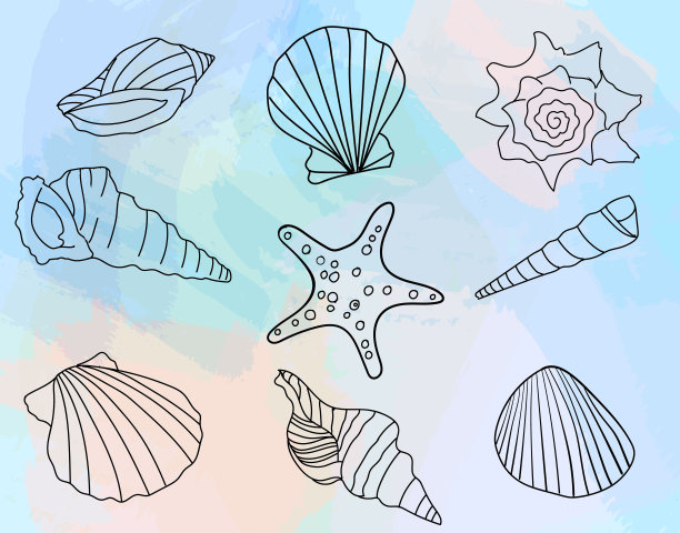 手绘海贝收集水彩背景。矢量图图片下载