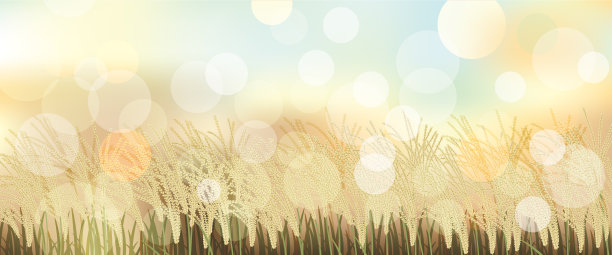 日本蒲苇草景观插图图片下载