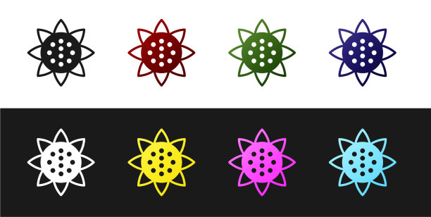 设置向日葵图标隔离在黑色和白色图片下载