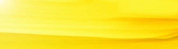 黄色向日葵花瓣合上，旗帜。夏秋背景图片下载