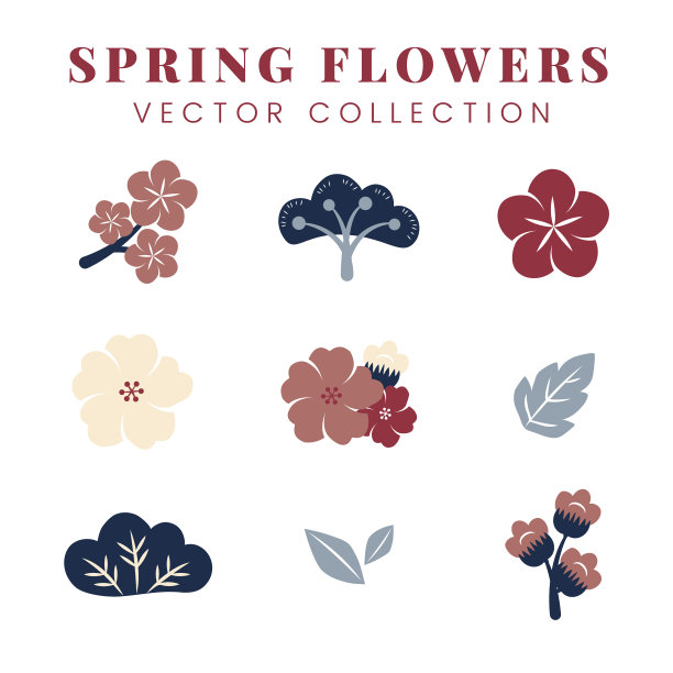 五颜六色的花组图片下载