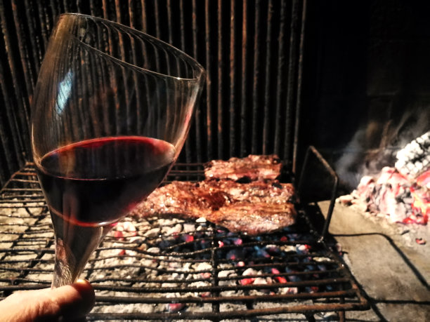 阿根廷烤肉，“asado”，在灰烬上，一杯马尔贝克葡萄酒。图片下载
