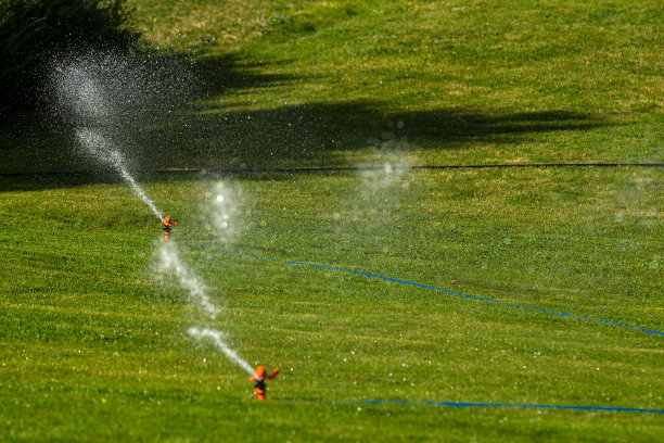 花园洒水图片下载