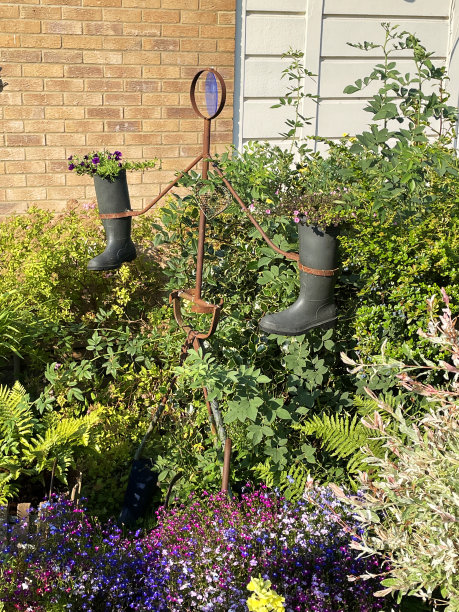 图片显示了种植在金属中的不同寻常的威灵顿靴花容器，夏日花园中的人形框架，花边生锈的框架，种植着矮牵牛花的橡胶靴图片下载
