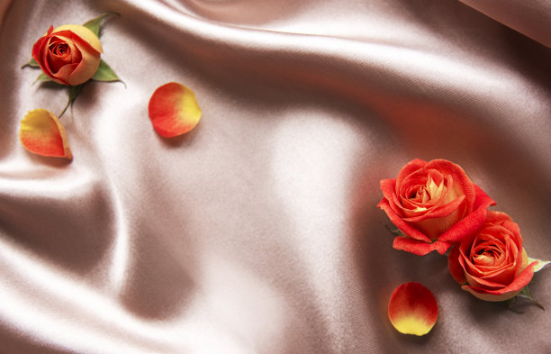 花组成。由红玫瑰和树叶制成的框架图片下载