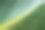 美丽的苏铁棕榈植物透视图和模糊的绿色背景图片下载