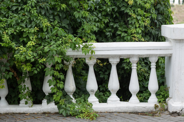 花园中有带栏杆的旧篱笆图片下载