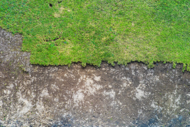 背景部分去除草坪和泥泞的地面。草坪被替换的地点的俯视图图片下载