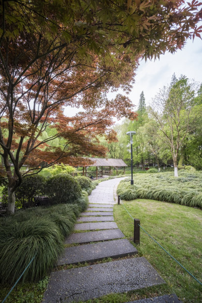 中国杭州西湖边绿树遮蔽的道路图片下载