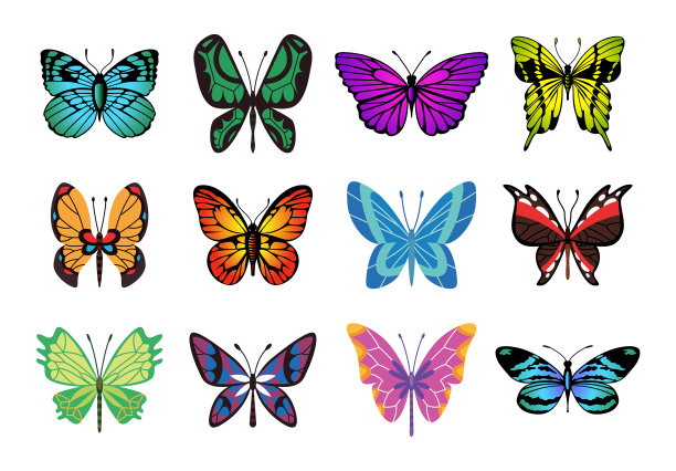 收集彩色蝴蝶手绘飞蛾图片下载