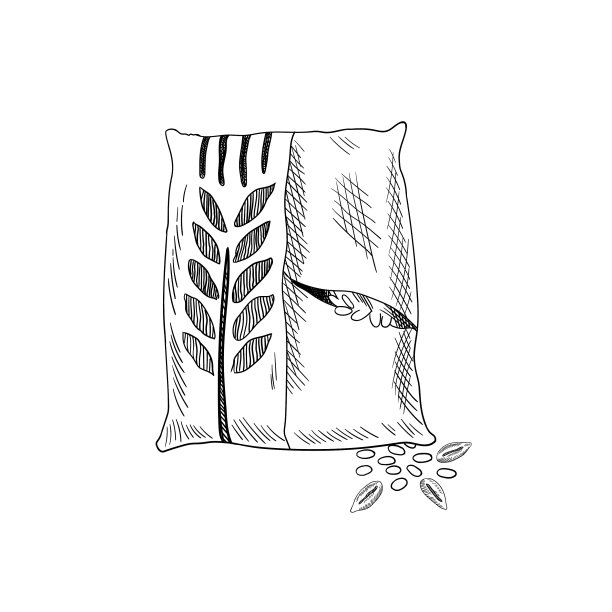 小麦谷物素描手绘黑白图片下载