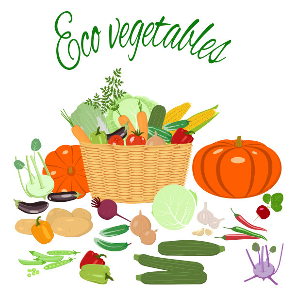 在篮子里收获新鲜蔬菜图片下载