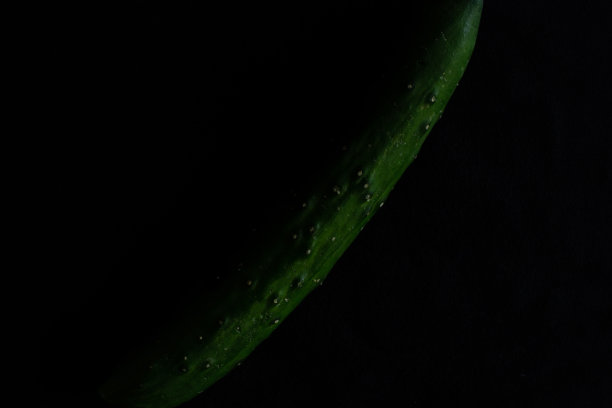 蔬菜的星球图片下载