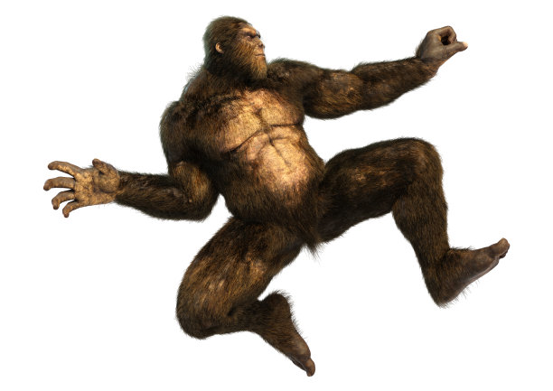 3D插图大脚野人在白色图片下载